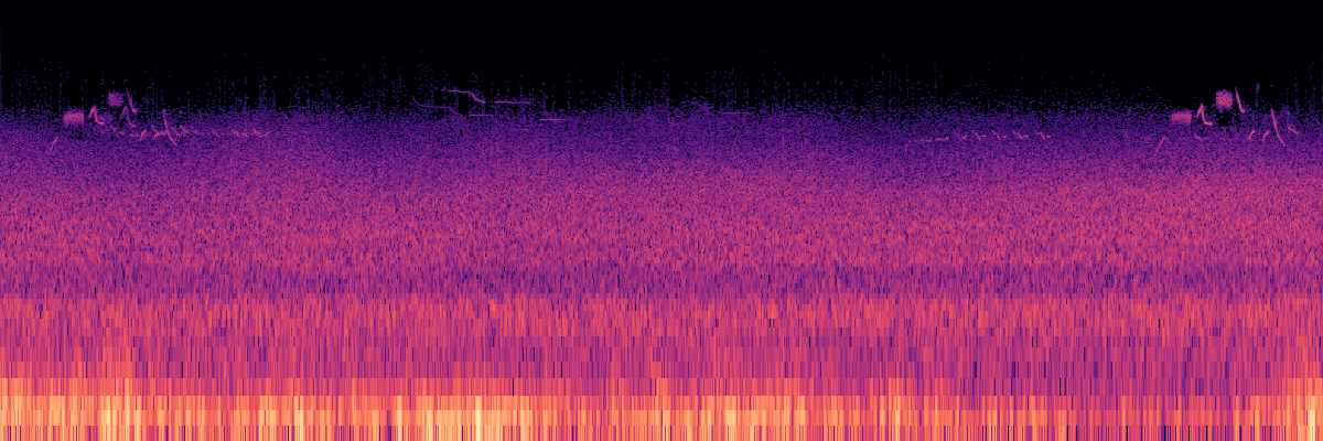 Spectrogram: Wandering Tattler With Golden-Crowned Sparrow and Fox Sparrow Chorus